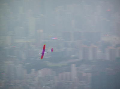 trendy4.jpg (8707 bytes)