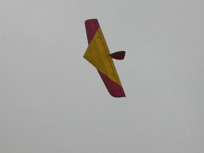 bluto4.jpg (6075 bytes)