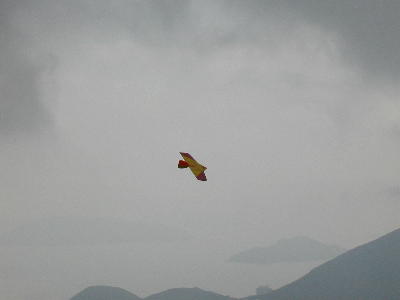 bluto5.jpg (6032 bytes)