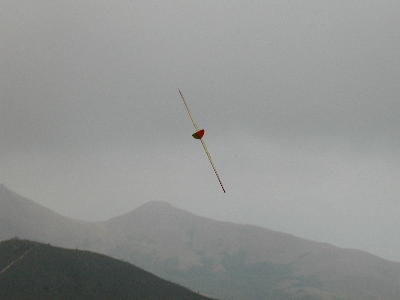 bluto6.jpg (6359 bytes)