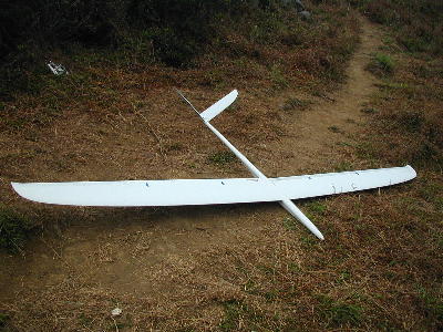 elita2.jpg (35842 bytes)