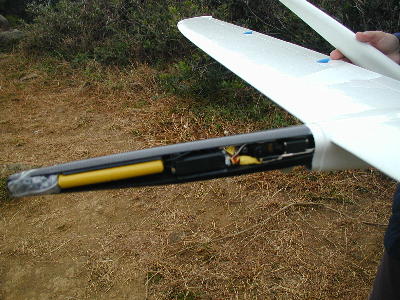 elita4.jpg (37029 bytes)