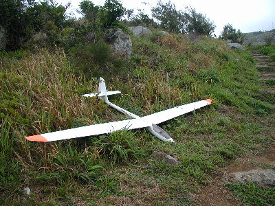 ind2_b.jpg (60516 bytes)