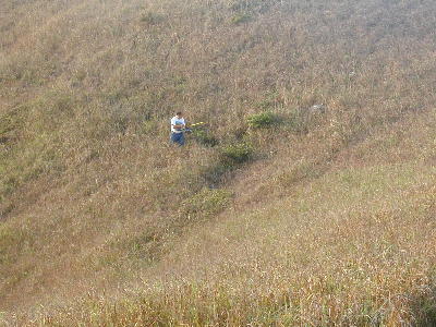 ind5_a.jpg (35639 bytes)