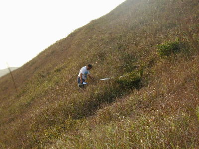 ind5_b.jpg (32728 bytes)