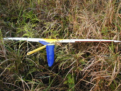 ind5_c.jpg (57609 bytes)