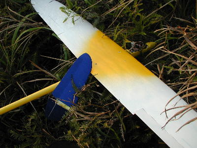 ind5_d.jpg (33714 bytes)