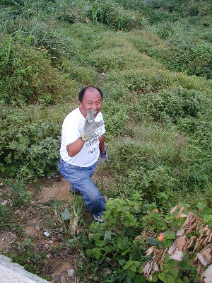 rec_leung_1.jpg (62896 bytes)