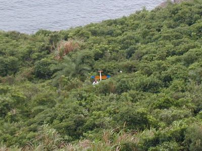 rec_leung_2.jpg (35694 bytes)