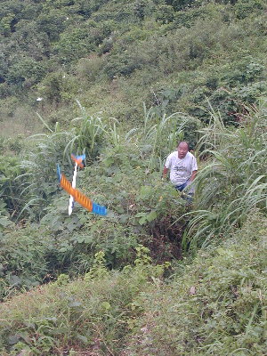 rec_leung_3.jpg (59826 bytes)