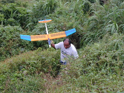 rec_leung_4.jpg (63514 bytes)