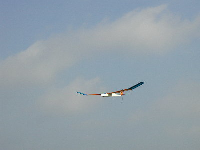 rec_leung_6.jpg (10256 bytes)