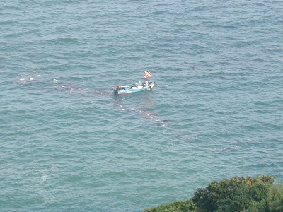 recovery3a.jpg (43324 bytes)