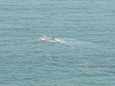 recovery3c.jpg (39130 bytes)