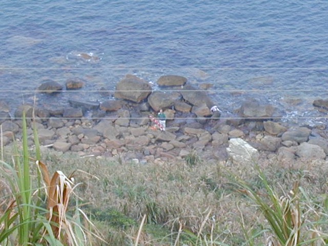 recovery4.jpg (98334 bytes)