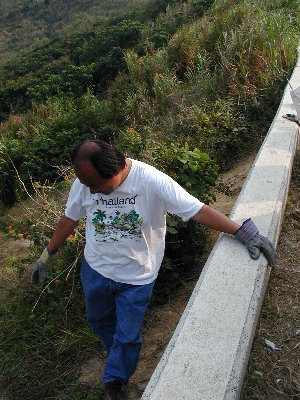 recovery5a.jpg (51722 bytes)