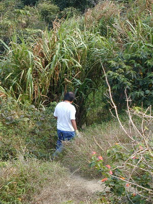 recovery5b.jpg (67210 bytes)