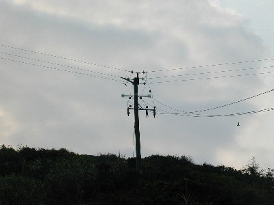 recovery6a.jpg (17738 bytes)