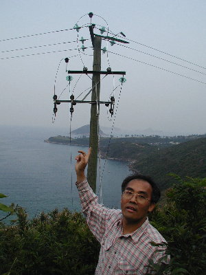 recovery6d.jpg (29496 bytes)