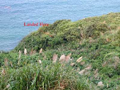 recovery7a.jpg (30866 bytes)