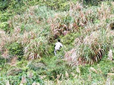 recovery7b.jpg (34561 bytes)