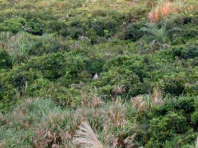 recovery7c.jpg (29737 bytes)