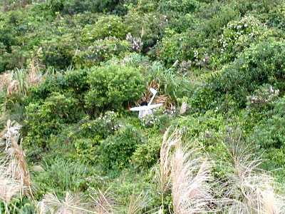 recovery7f.jpg (31894 bytes)