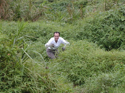 recovery8a.jpg (61661 bytes)