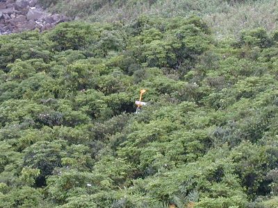 recovery8b.jpg (49403 bytes)