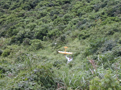 recovery8d.jpg (63738 bytes)