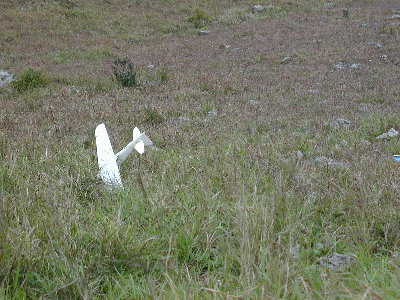 zero_4.jpg (51994 bytes)